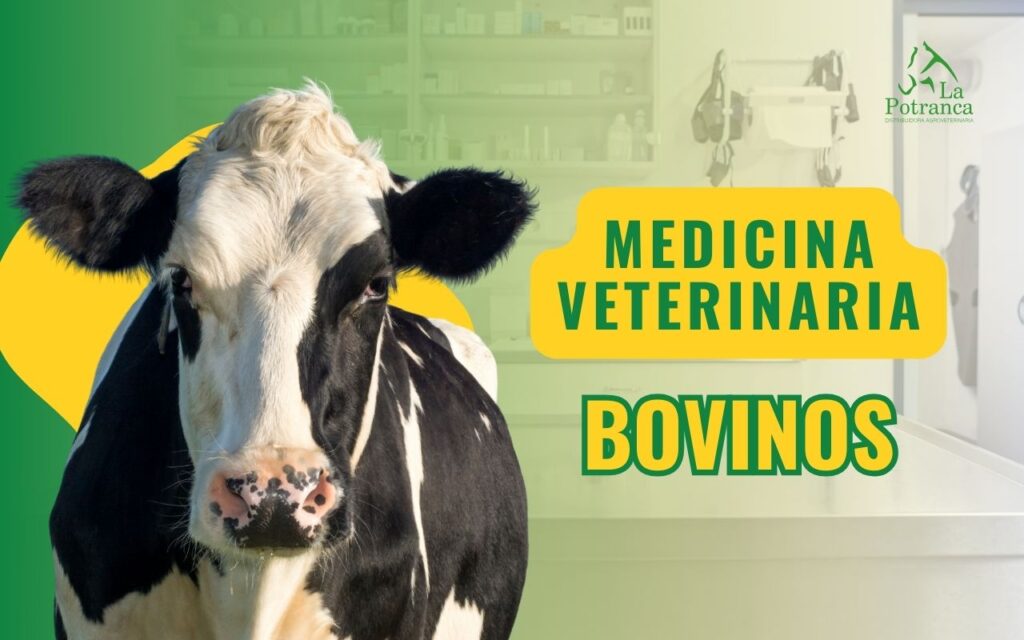 medicina veterinaria para bovinos