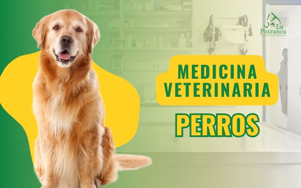 medicina veterinaria para perros