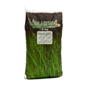 SEMILLA VERASEM MASSAI 1 KG