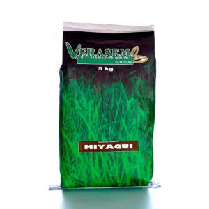 SEMILLA VERASEM MIYAGUI 1 KG