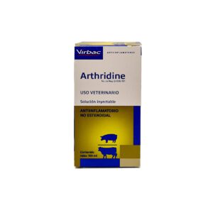ARTHRIDINE 100 ML